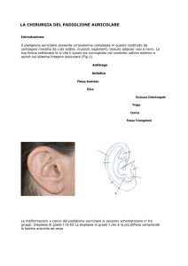 la chirurgia del padiglione auricolare