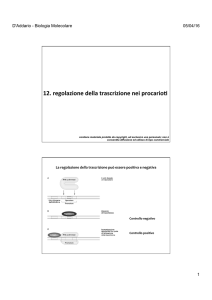 12. regolazione della trascrizione nei procarioti File