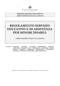 regolamento servizio educativo e di assistenza per minori disabili