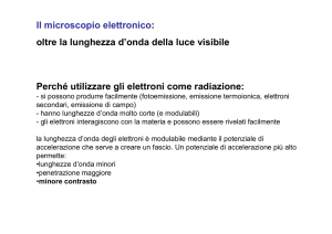 Il microscopio elettronico