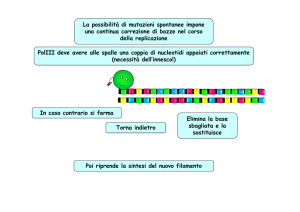 La possibilità di mutazioni spontanee impone una continua