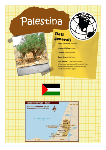 Palestina Palestina
