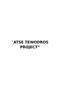 atse tewodros project - Produzioni dal Basso