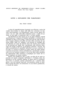 Acta n.1-1955 articolo 7