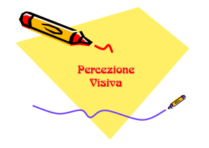 Percezione visiva