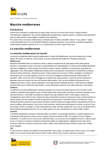 "Macchia mediterranea" in pdf