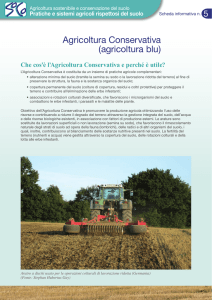 Agricoltura Conservativa (agricoltura blu) - agrilife