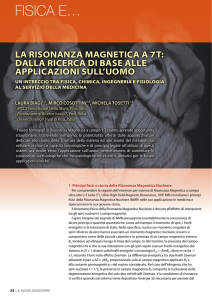 La Risonanza Magnetica a 7T