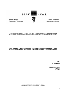 pdf file - SIAV