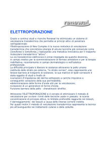Elettroporazione - Renewal Estetica