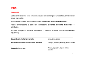 bevande alcoliche fermentate