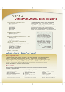 GUIDA A Anatomia umana, terza edizione