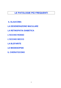 Visualizza Pdf