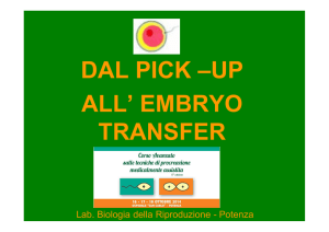 dal pick –up all` embryo transfer