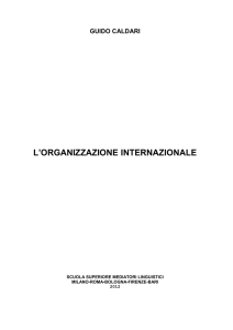 L`organizzazione Internazionale