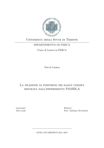 Universit`a degli Studi di Trieste La frazione di positroni nei raggi