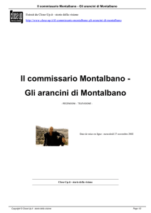 Il commissario Montalbano - Gli arancini di Montalbano - Close