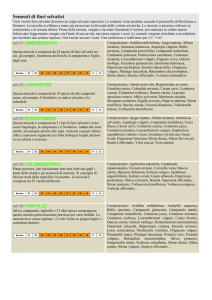 Carciofi e cardi - AgriBio Notizie