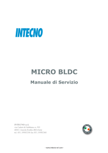 MICRO BLDC