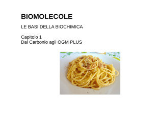 biomolecole - I blog di Unica
