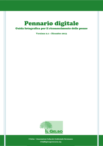 Pennario digitale - Il Gelso Gerenzano