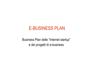 8 - E-business Plan