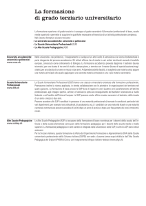 La formazione di grado terziario universitario