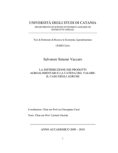 UNIVERSITÁ DEGLI STUDI DI CATANIA Salvatore Simone Vaccaro