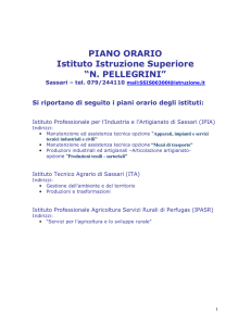 PIANO ORARIO Istituto Istruzione Superiore “N. PELLEGRINI”