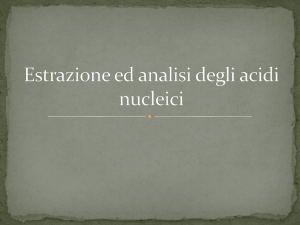 Estrazione ed analisi degli acidi nucleici