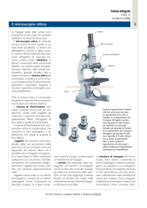 Il microscopio ottico - Zanichelli online per la scuola