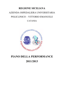 piano della performance 2011/2013