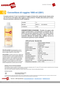 Convertitore di ruggine 1000 ml (I261) - Ambro-Sol