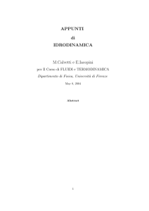 Dinamica dei Fluidi - M.Calvetti, E.Iacopini