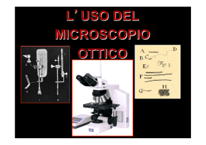 4- CenniMicroscopia per pdf