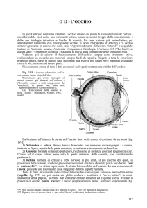O 12 - L`OCCHIO