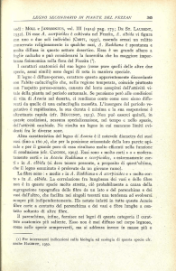 1932). Di esse A. scorpioides è coltivata nel Fezzàn, A. albida vi
