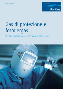 Gas di protezione e formiergas. Per la saldatura MSG e