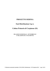 rel semestrale - Autorità per l`energia elettrica e il gas