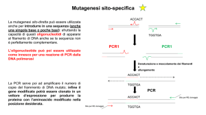Mutagenesi sito-specifica