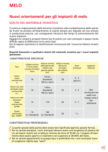nuovi orientamenti per gli impianti di melo