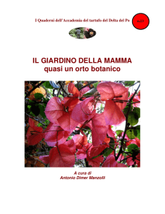 IL GIARDINO DELLA MAMMA quasi un orto botanico