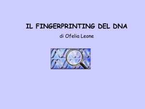 Le applicazioni forensi (il fingerprinting del DNA)