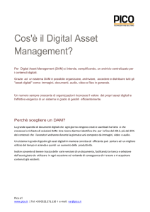 Cos`è il Digital Asset Management?