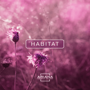 habitat - Ariana Ceramica