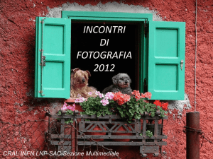 incontri di fotografia 2012 - Vinicio TULLIO, photogallery