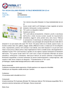 TG1 OCCHI COLLIRIO PEGASO 10 FIALE MONODOSE