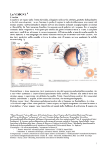 Visione e patologie della Visione x CIP 4