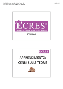 apprendimento - Ecres Academy