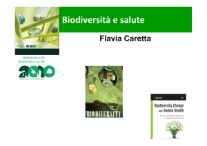 08_Caretta_Biodiversita_e_salute_ppt